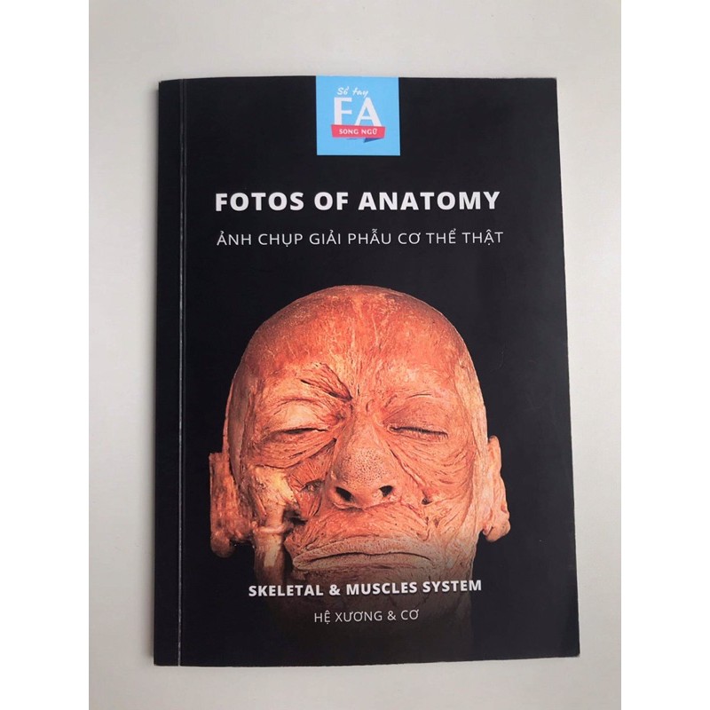 Fotos of anatomy// Ảnh chụp giải phẫu cơ thể người thật