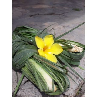 Lá sả tươi 9.000đ 2 bó có cả củ 200g