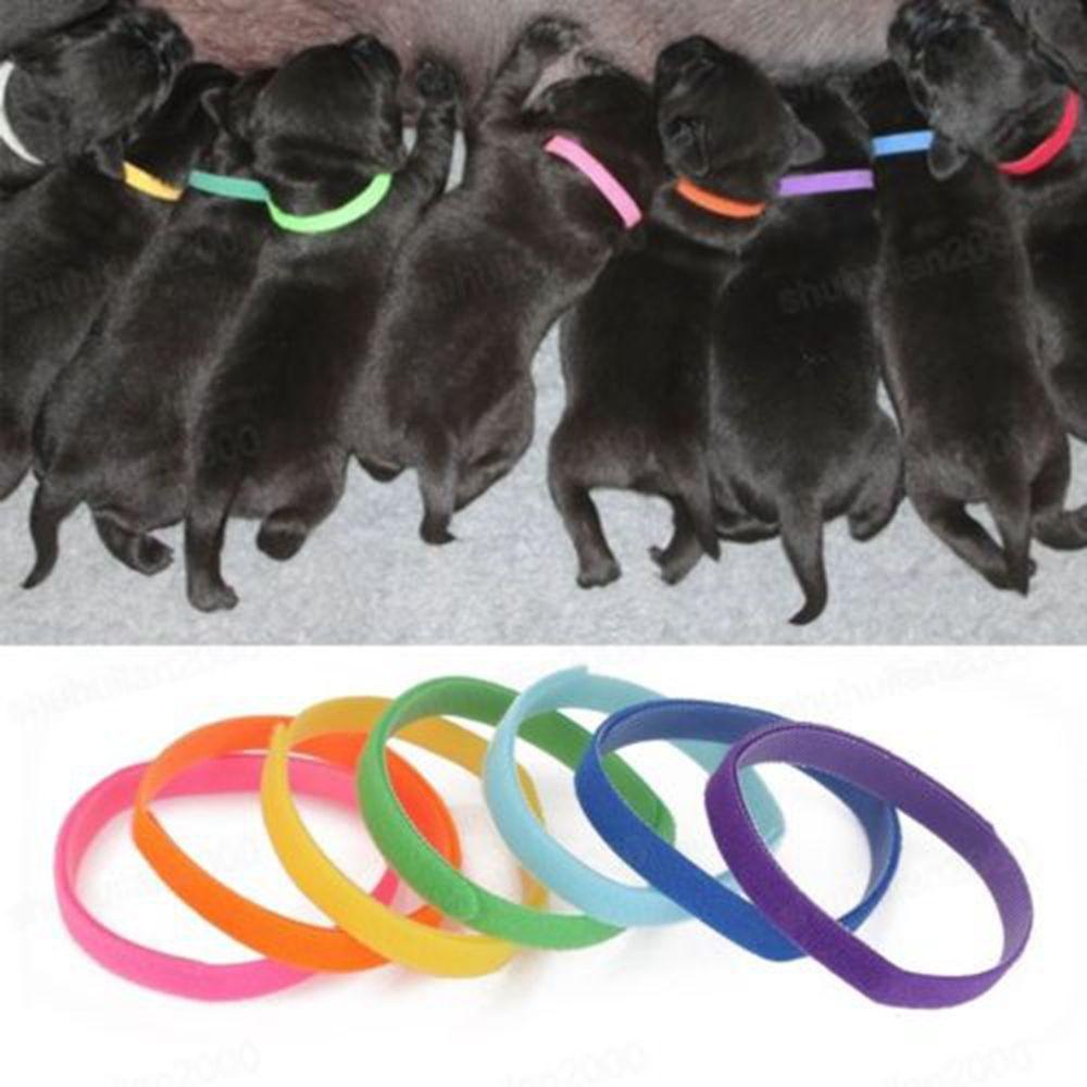 Vòng Cổ Nylon Nhiều Màu Có Thể Tái Sử Dụng Cho Thú Cưng