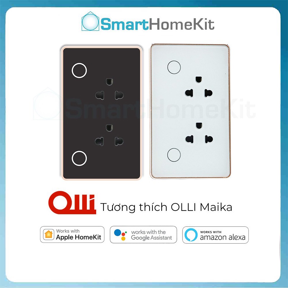 Ổ cắm thông minh đôi Tuya âm tường, điều khiển với giọng nói loa Google Assistant