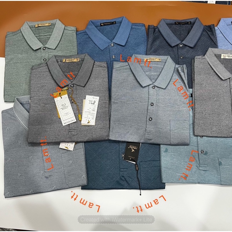 Áo thun cộc tay nam trung niên hàng đẹp i