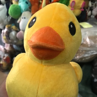 Gấu bông vịt vàng của Sam Nèk