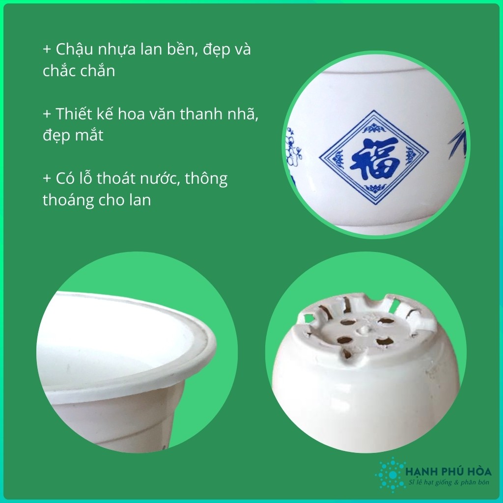 Chậu Nhựa Tròn Trồng Hoa Lan, Cây Kiểng Bình An Xanh Kích Thước 25cm, 28cm - Chậu Nhựa , Đẹp, Nhẹ, Chắc Chắn, Có Hoa Văn