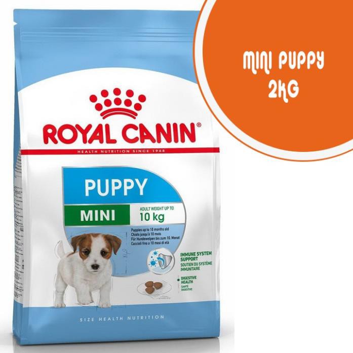 ROYAL CANIN MINI PUPPY 2KG - Dành cho cún con từ 0 đến 10kg  - Nhà Pet