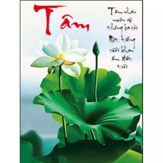 Tranh thêu Tâm hoa sen trắng 52x72cm 53578