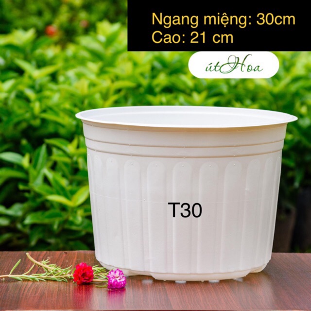 [ Sỉ từ 20 cái] Chậu nhựa trắng trồng cây cỡ lớn T30 (30x21 cm) có sọc đẹp