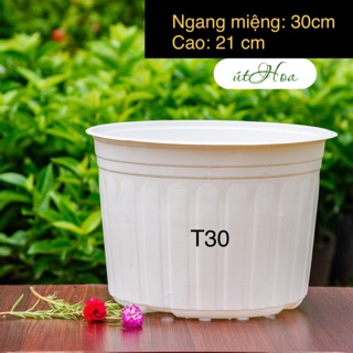 [ Sỉ từ 20 cái] Chậu nhựa trắng T30 có sọc đẹp