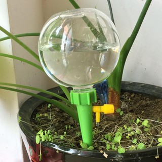 Vòi tưới cây nhỏ giọt tự động gắn chai nhựa tiện dụng