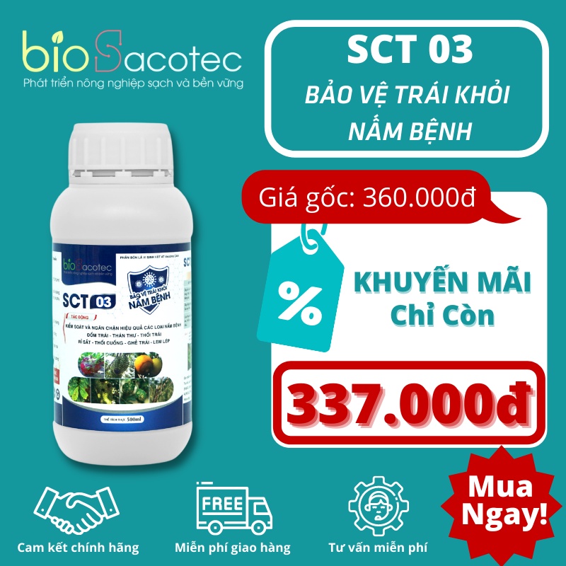 SCT 03 - Đặc trị đốm lá, thán thư, thối trái, rỉ sắt , thối cuống, ghẻ trái (sầu riêng,bưởi, thanh long) hiệu quả