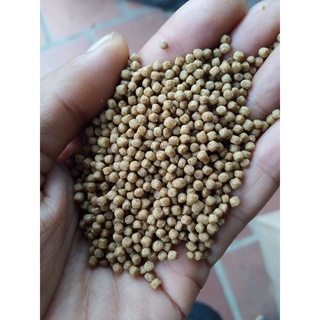 100g cám cá koi, cám cá vàng gold koi feed 40% đạm loại 3 ly