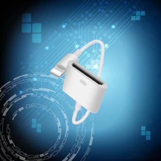 Đầu chuyển đổi từ cổng 4 sang cổng IP5 6 7 30 Pin sang 8 Pin Ca F2R0