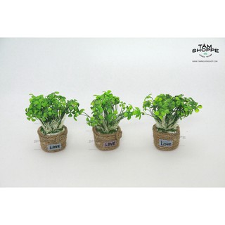 CHẬU MẦM ĐÁ MINI VINTAGE SỐ 44