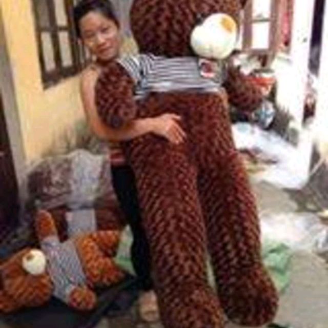 Gấu  teddy 1m6