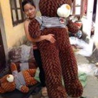 Gấu teddy 1m6