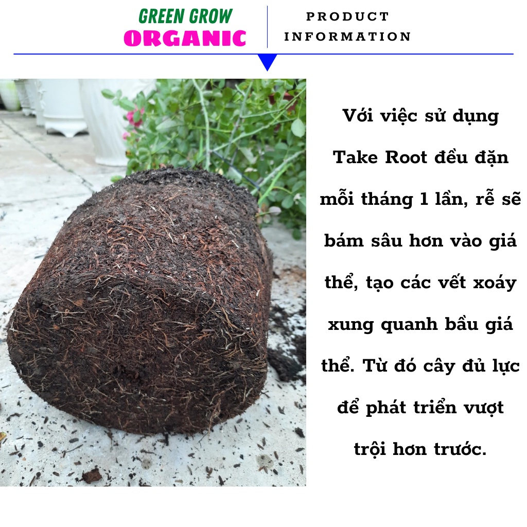 Thuốc kích rễ cực mạnh siêu kích rễ TAKE ROOT phân bón siêu kích rễ cho hoa hồng hoa kiểng phục hồi cây MS104 GREEN GROW