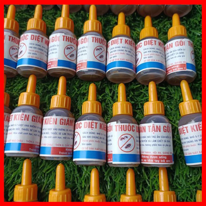 Thuốc tiêu giệt kiến gián tận gốc