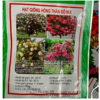 Hạt giống hồng thân gỗ mix
