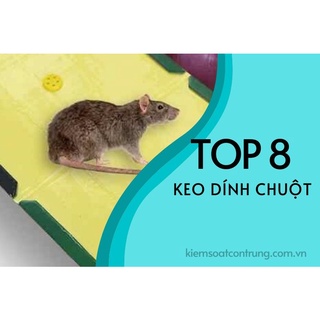 Keo Dính Chuột, Keo Bẫy Chuột Siêu Dính Có Thể Tái Sử Dụng Green River