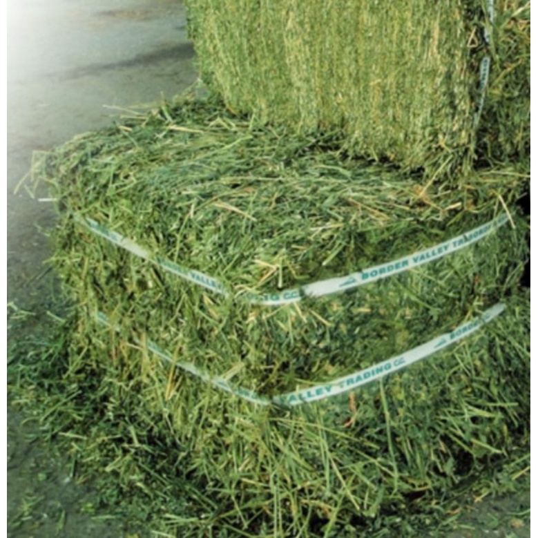 Cỏ khô Alfalfa