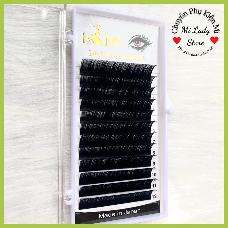 Mi khay ROYAL cao cấp độ cong D 8-15