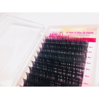 Lông mi khay volume độ cong D - mi khay volume mềm mịn - Hani