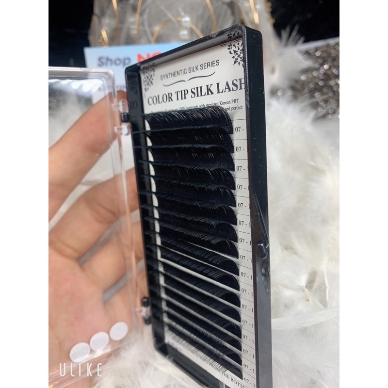 Mi color tip silk lash dày 0,7