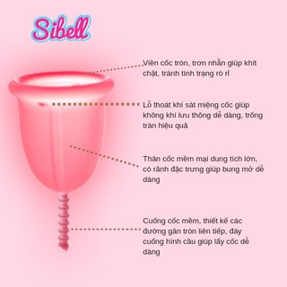 Sibell Cup
