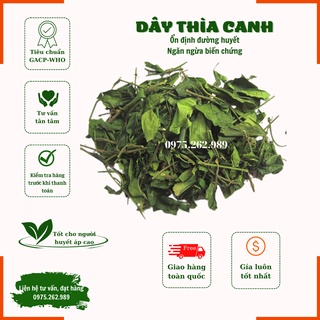 [Giá buôn] Dây Thìa Canh - Trị tiểu đường, mỡ máu