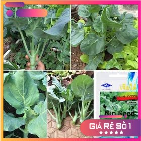 200H - Hạt giống cải ngồng làn lá xoăn Chia Tai Thái Lan