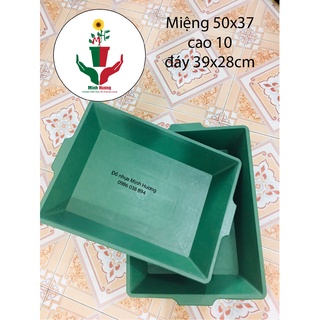 Khay trồng rau mầm