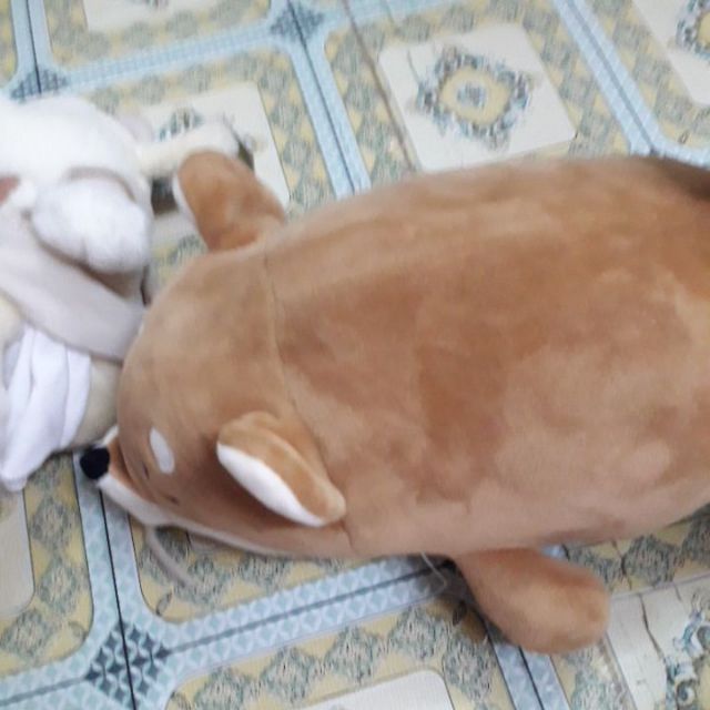 Gấu chị Trà Anh