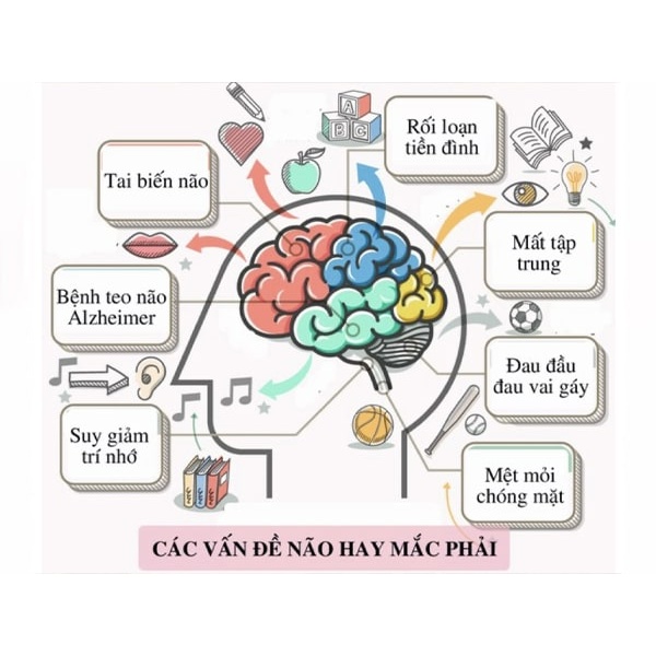 Viên Uống Bổ Não TRUNATURE GINKGO BILOBA 120mg 340 viên - Nhập Mỹ