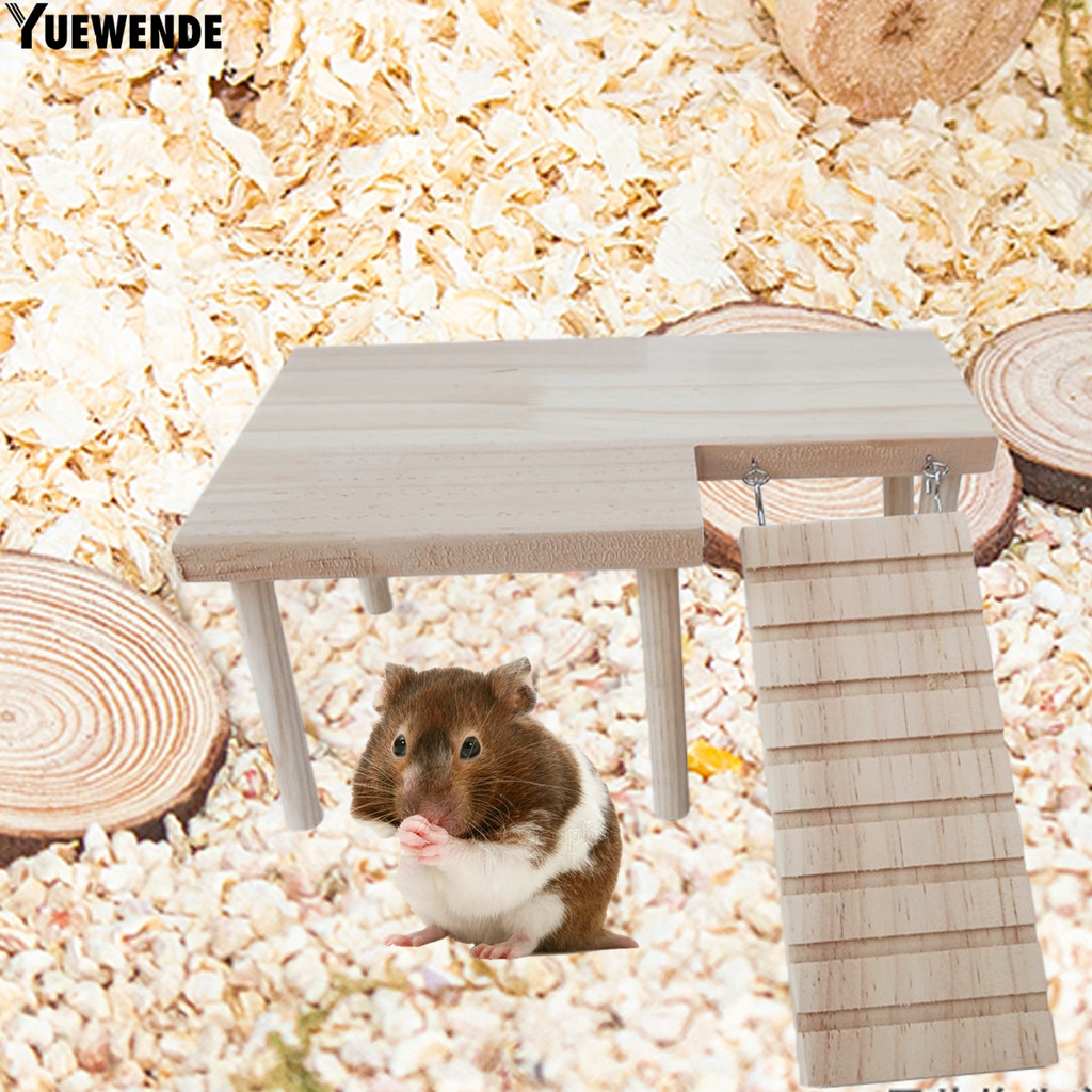 Giá đỡ đứng bằng gỗ tự nhiên cho chuột hamster