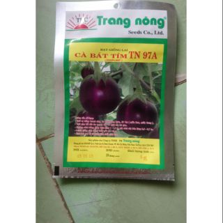 Hạt giống cà tím 1g