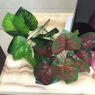 Cây lá điểm giả trang trí nhà cửa, tường cỏ