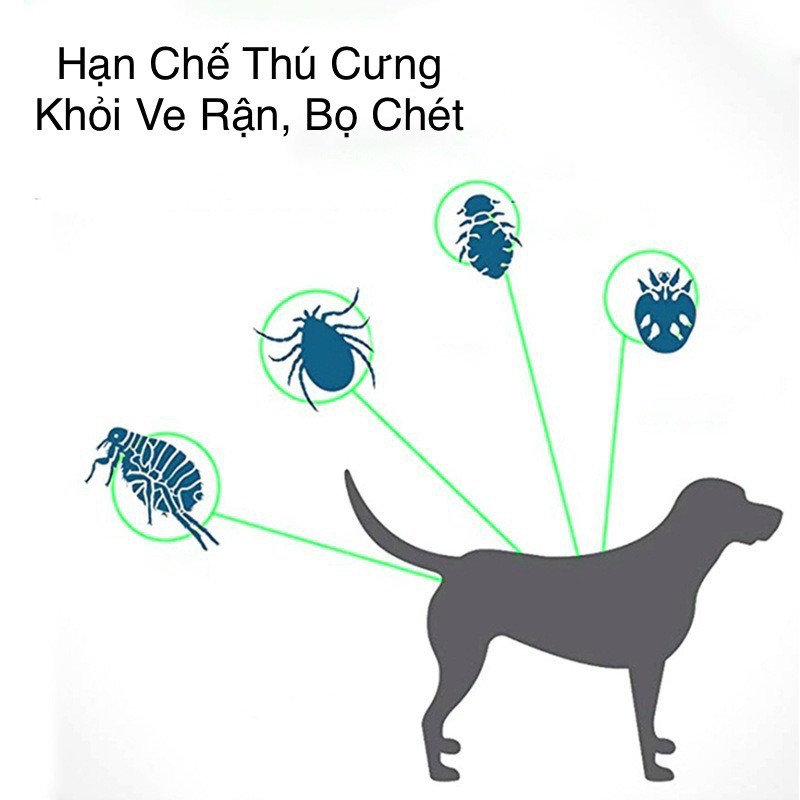 Vòng cổ chống ve rận cho chó mèo