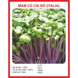Hạt giống rau mầm củ cải đỏ - 50gr