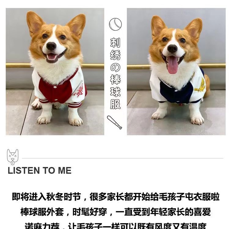 Áo bóng chày thu đông ấm áp cho chó Corgi Schnauzer Shiba vừa và nhỏ