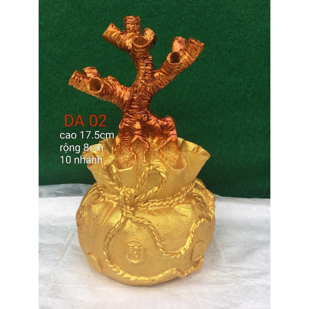 TÚI LIỀN GỐC 10 NHÁNH
