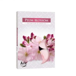 NẾN THƠM PLUM BLOSSOM BARTEK CANDLES FTM-BAT0678