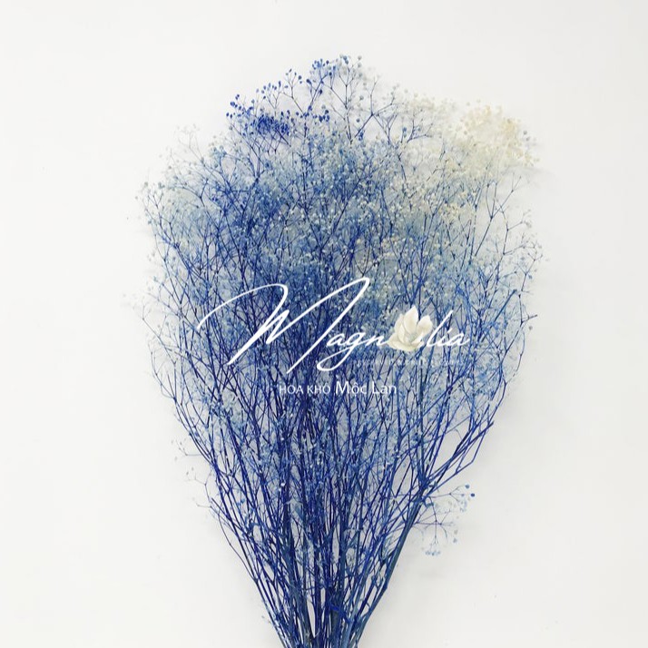 Trang trí tiệc cưới ❤️FREESHIP❤️ Mini Baby's Breath - Sky Blue