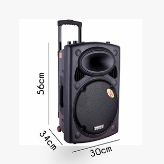 Loa kéo Temeisheng DP-297L