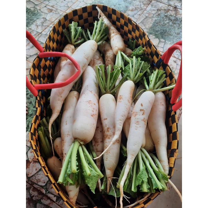 Củ cải trắng hữu cơ