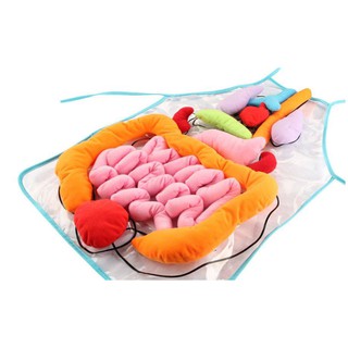 [SỈ TỪ 210K] YẾM SINH HỌC GIÚP BÉ NHẬN BIẾT CÁC BỘ PHẬN BÊN TRONG CƠ THỂ