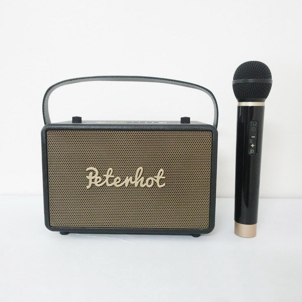 Loa Karaoke Bluetooth Peterhot A106W  - Loa xách tay karaoke nhỏ gọn, công suất 30w