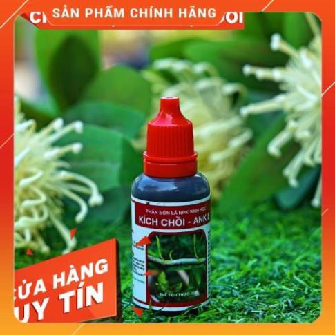 [3 Đời Kích Kie] THUỐC kích Mầm, chồi Keiki Hoa Lan, Hoa Hồng, Hoa Mai cực mạnh ANKIE