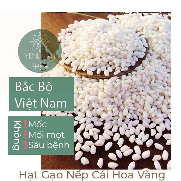 Gạo Nếp Cái Hóa Vàng Bắc Bộ 250gr-500gr-1kg Yenlanhnatural