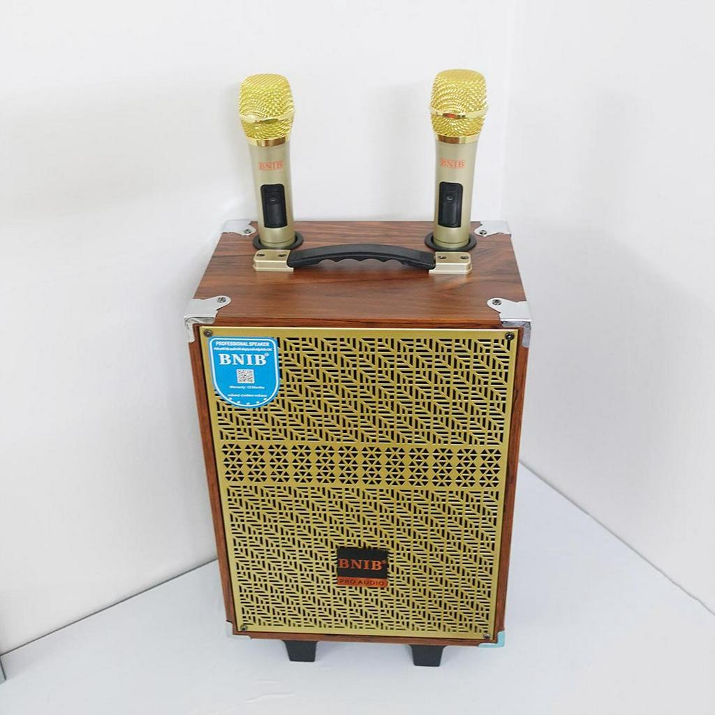 Loa Kẹo Kéo Hát Karaoke Chính Hãng BNIB M8 Bass 20cm, Thiết Kế Vỏ Gỗ Sang Trọng, Âm Thanh Chất Lượng | Bảo hành 12th