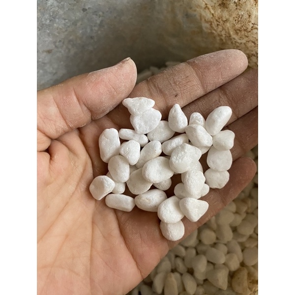 Đá nhỏ trang trí chậu cây, bể cá cảnh, sân vườn đóng gói 1kg