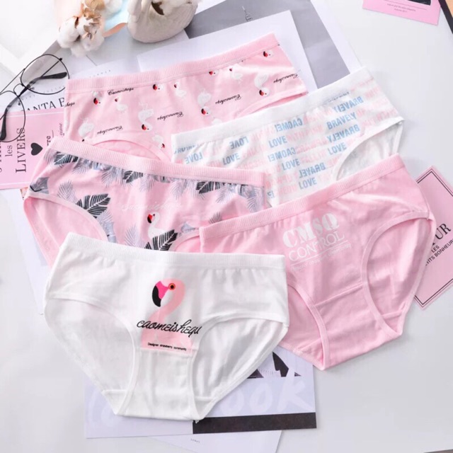 (MẪU MỚI 11/2018) - SET 5 QUẦN CHIP DỄ THƯƠNG - HÀNG NHẬP